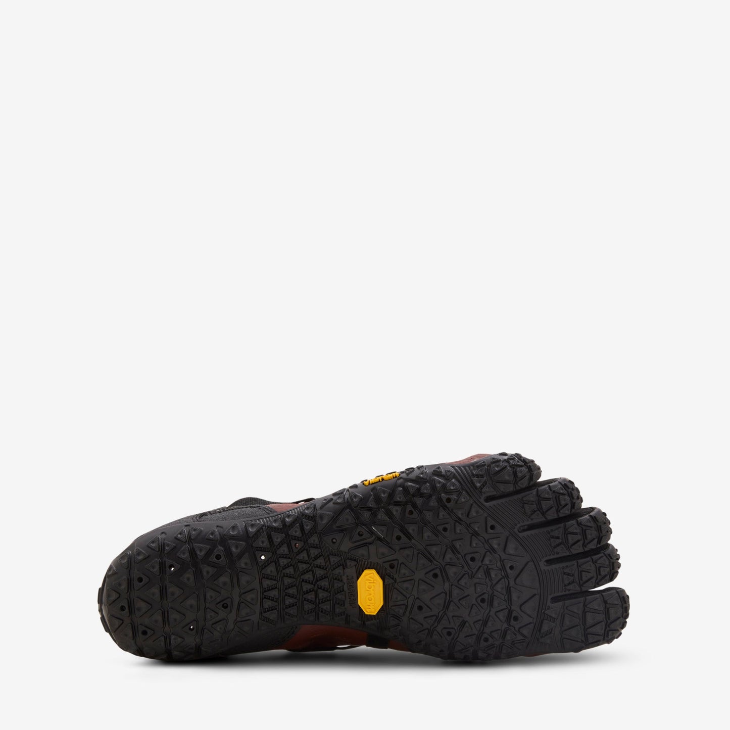 Women's Spidrwalk Brown