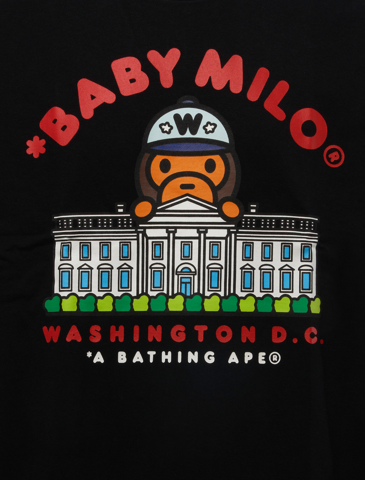 DC BAPE CITY TEE