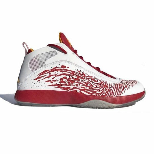Miami Heat Dwyane Wade 2011 Air Jordan PE Promo Samples w/Box