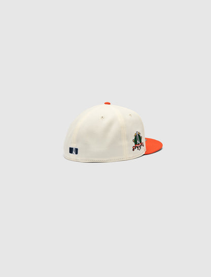 AMM HTX CHROME HAT