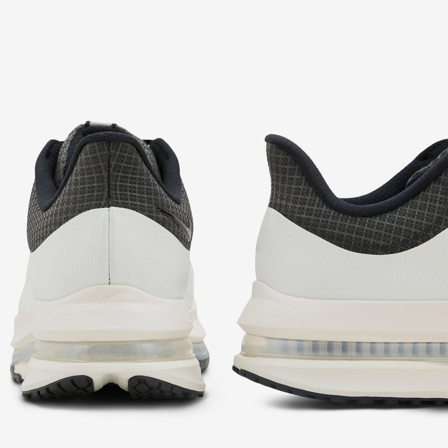 Pegasus Premium SP Black | Sail | Sail
