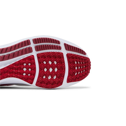 Air Zoom Pegasus 39 'Platinum Tint Light Crimson