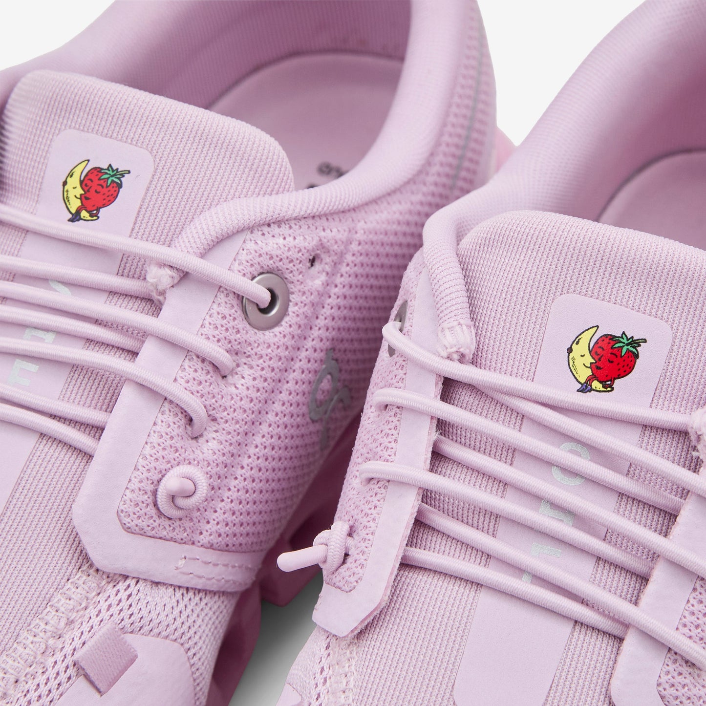 Sky High Farm x Cloud 6 Aster | Begonia
