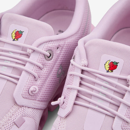 Sky High Farm x Cloud 6 Aster | Begonia