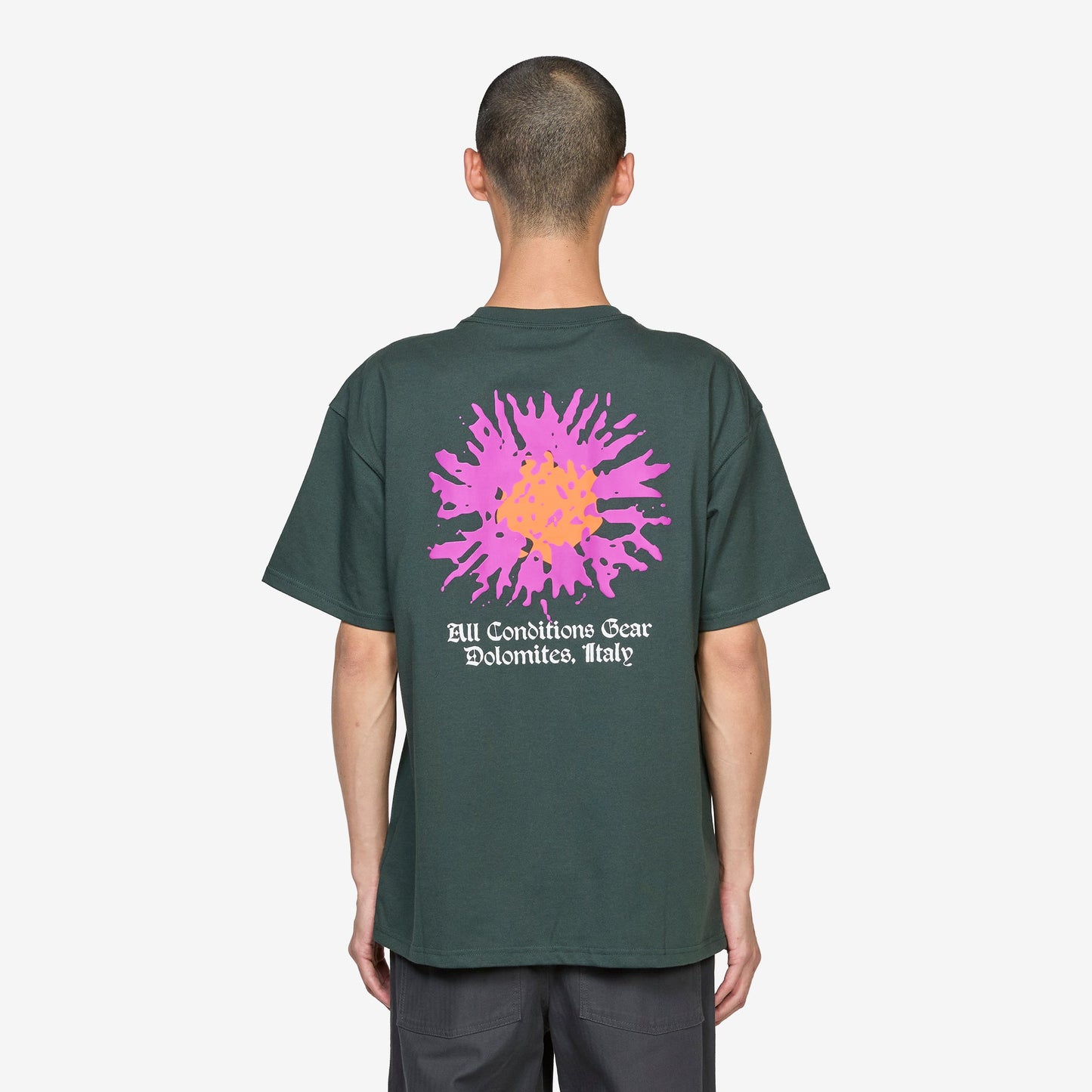 ACG 'Camp Meadows' Dri-FIT T-Shirt Black Spruce
