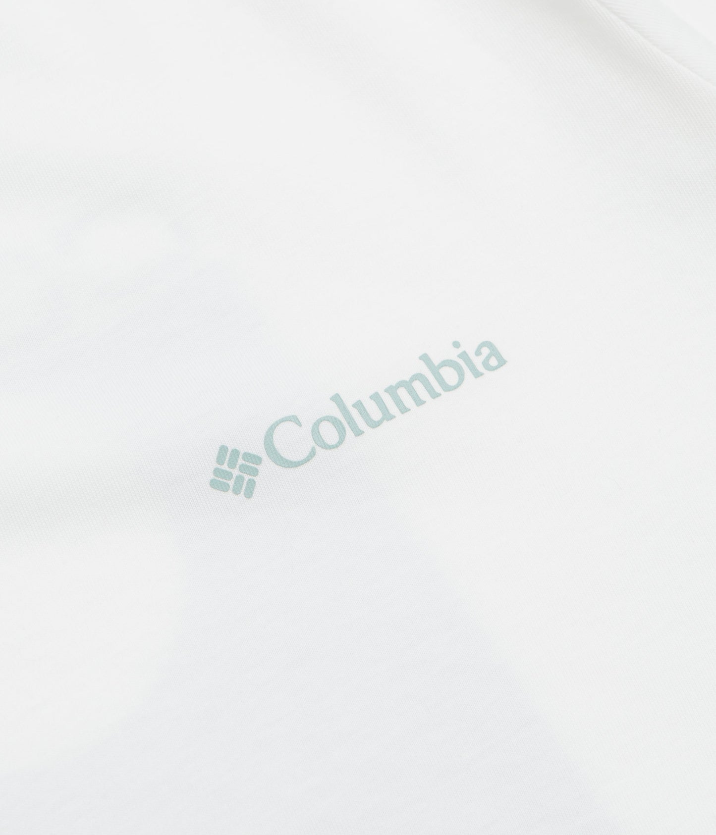 Columbia Rapid Ridge Back Graphic II T-Shirt - White / Framed Landscape