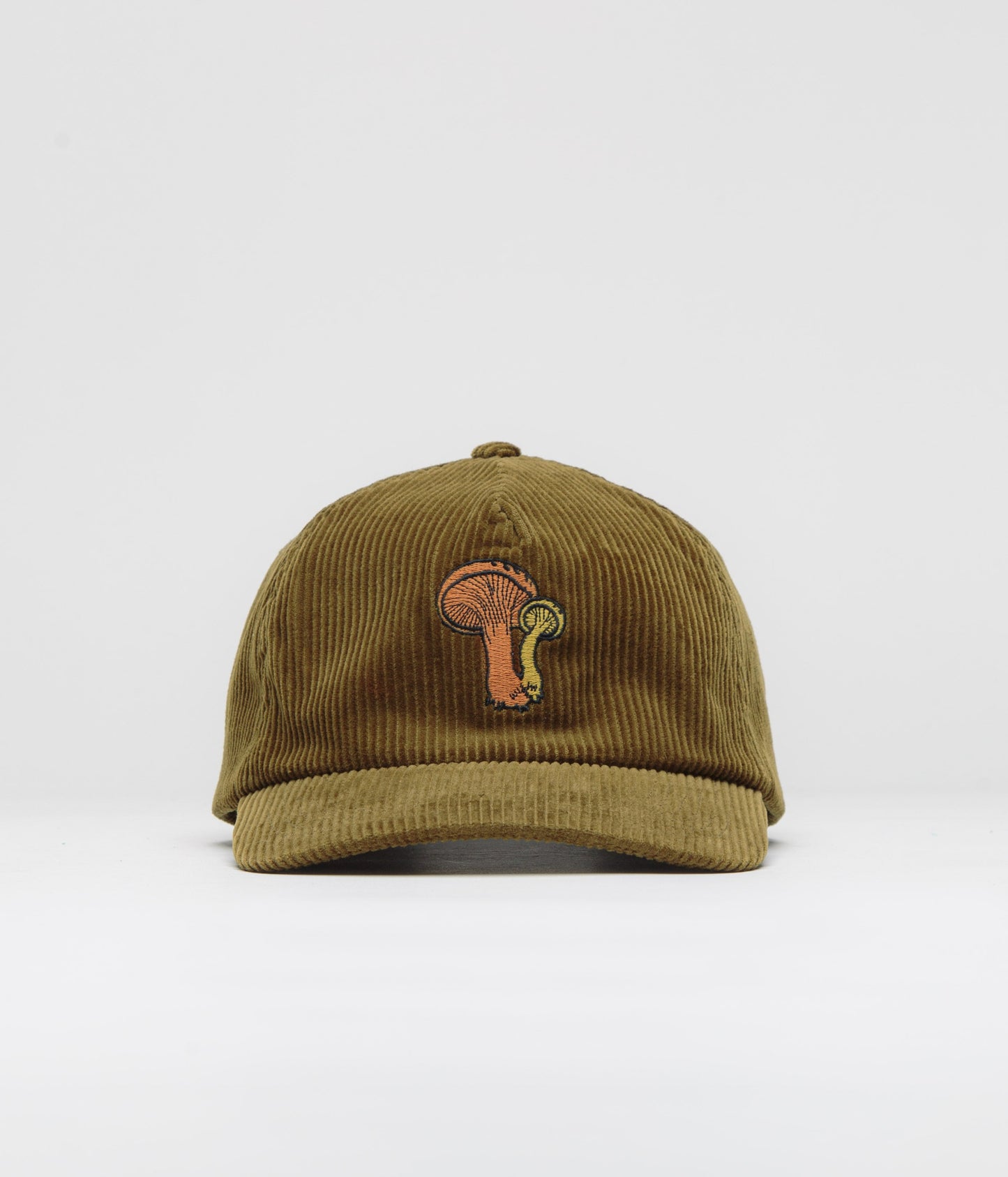 Mollusk Field Guide Corduroy Cap - Olive