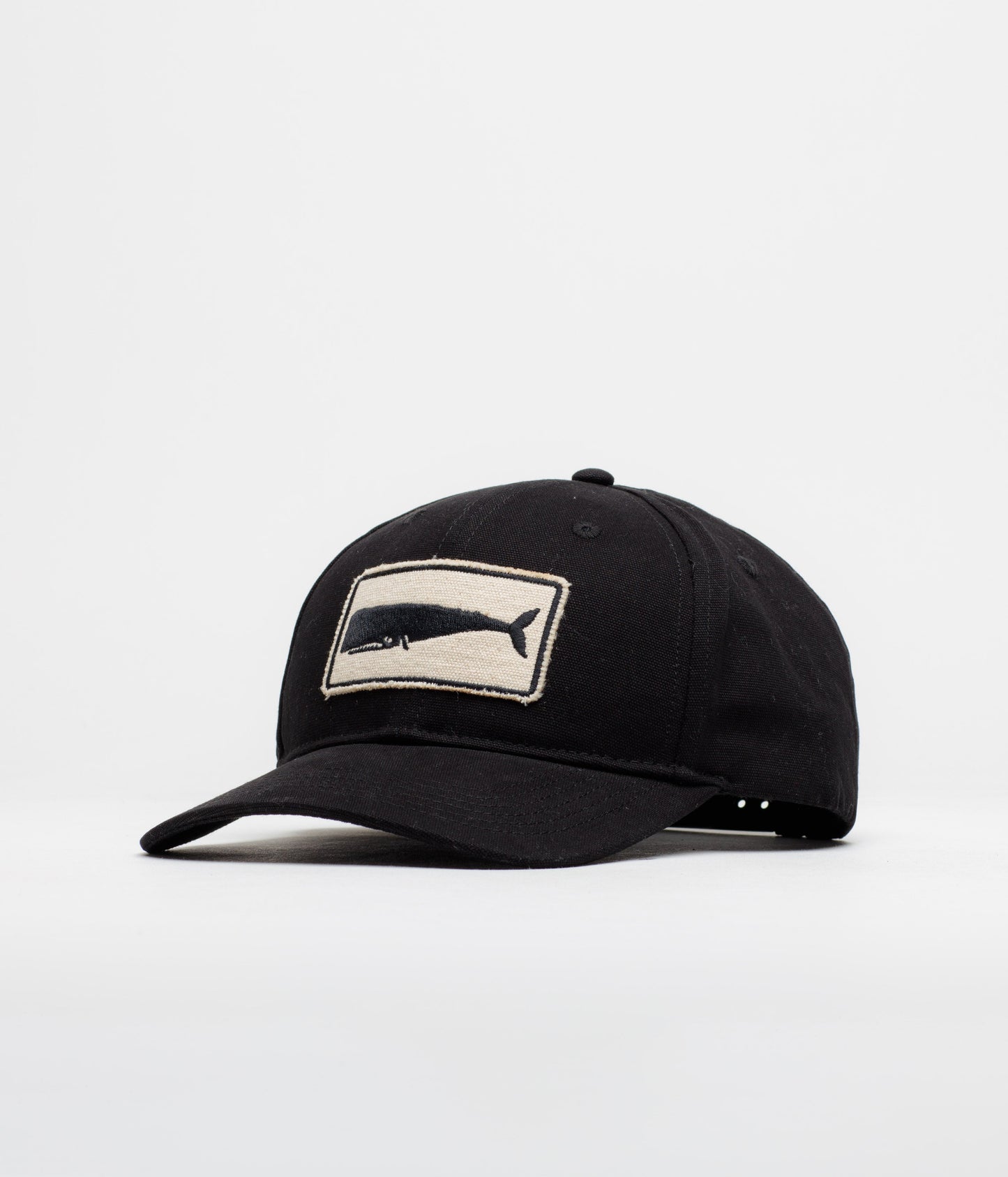 Mollusk Whale Patch Cap - Black
