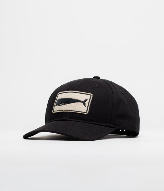 Mollusk Whale Patch Cap - Black