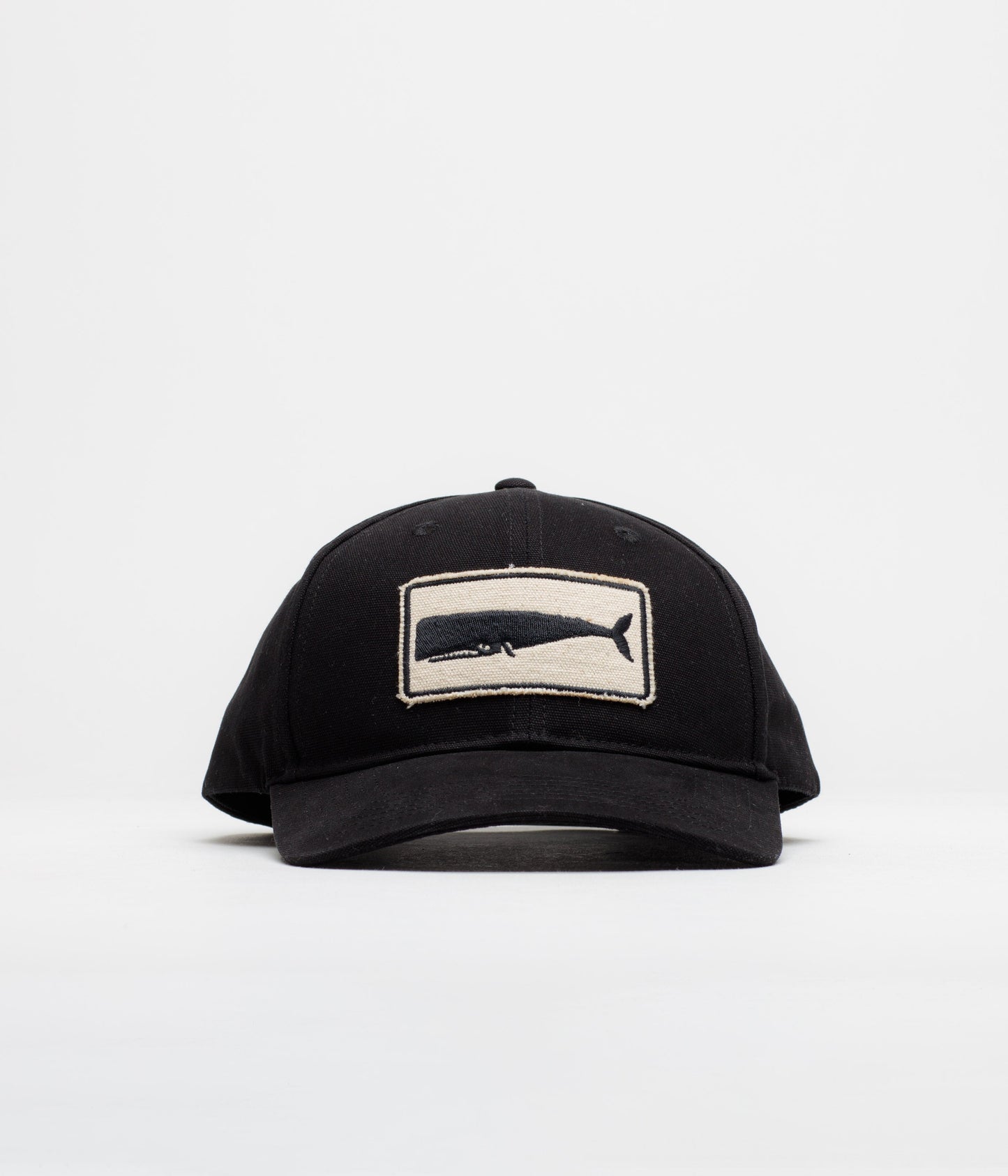 Mollusk Whale Patch Cap - Black