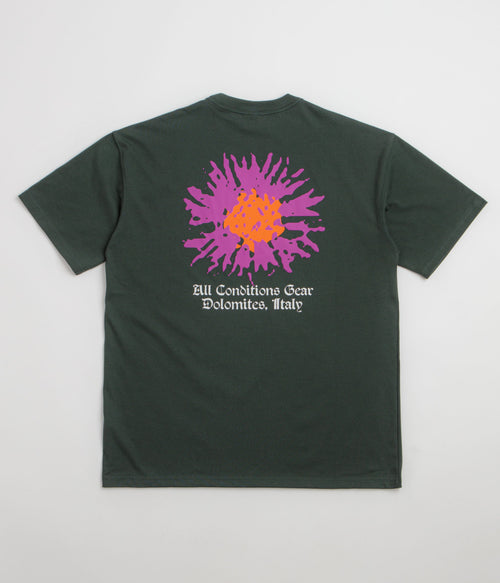 Nike ACG Meadows T-Shirt - Black Spruce