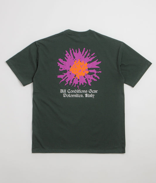 Nike ACG Meadows T-Shirt - Black Spruce