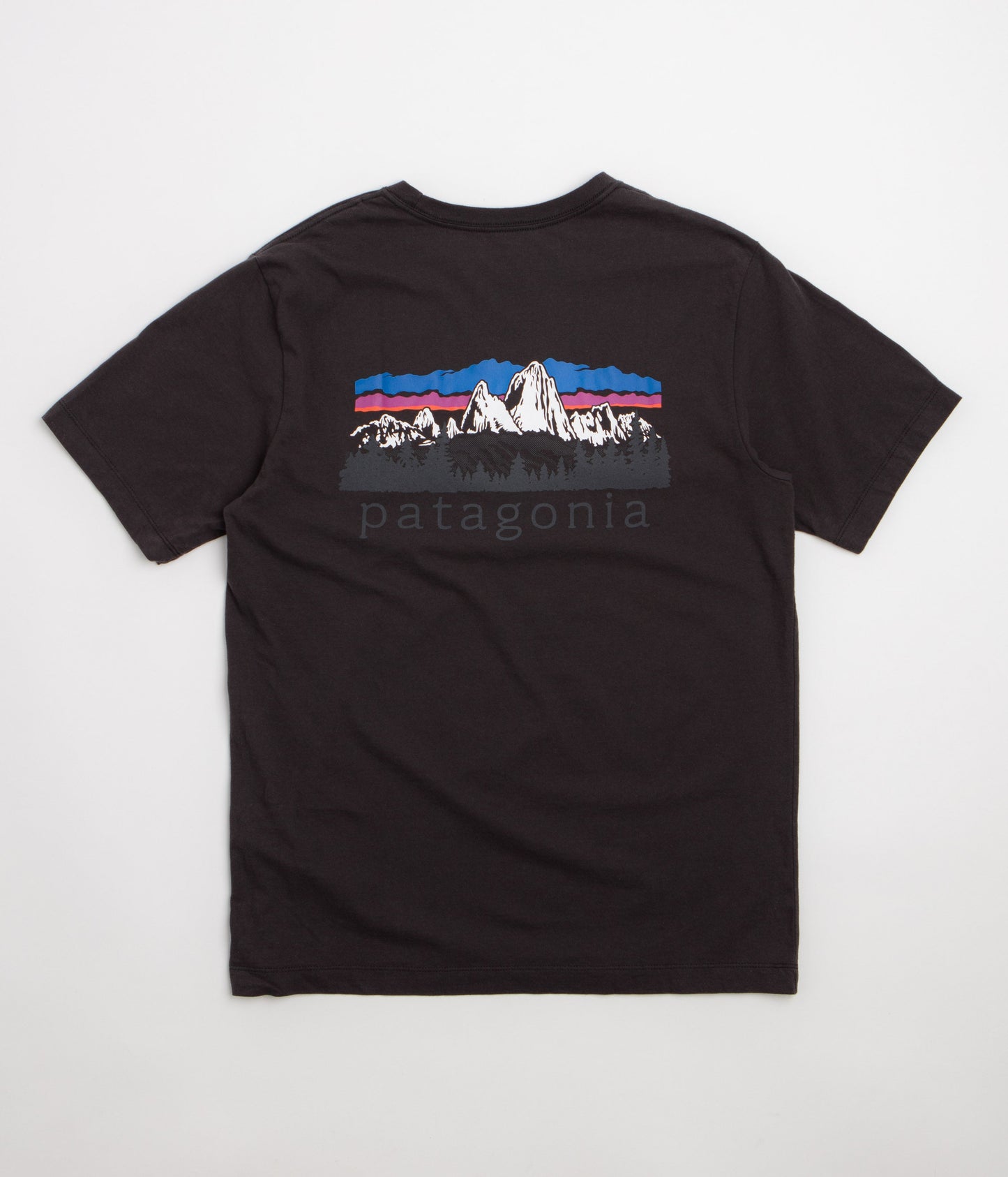 Patagonia Fitz Roy Foothills T-Shirt - Ink Black