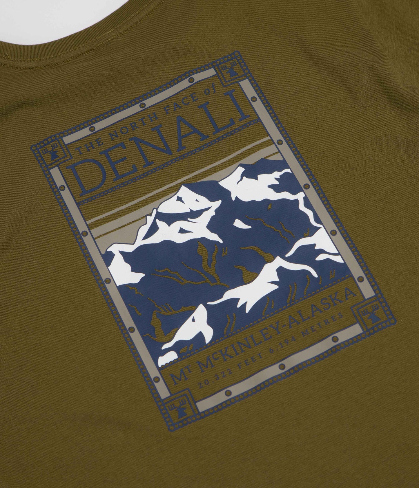 The North Face North Faces T-Shirt - Caraway Seed
